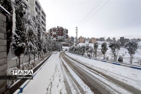 بارش برف زمستانی در پردیس