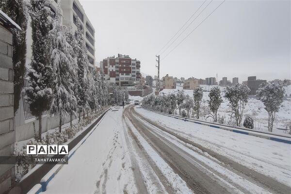 بارش برف زمستانی در پردیس