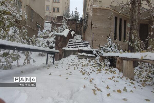 بارش برف زمستانی در پردیس