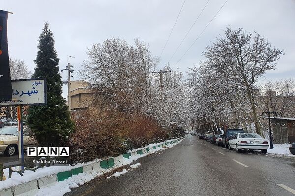 رخت سفید زمستان بر تن طبیعت دماوند