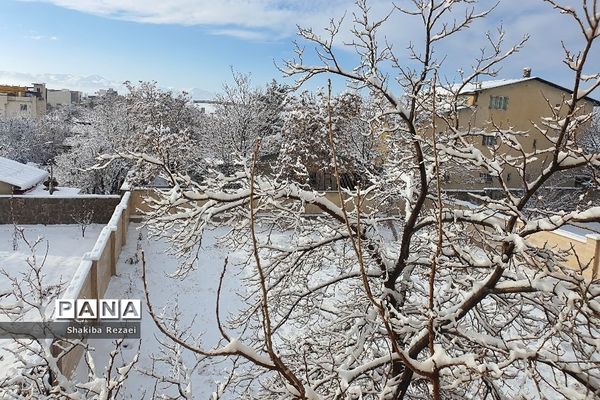 رخت سفید زمستان بر تن طبیعت دماوند