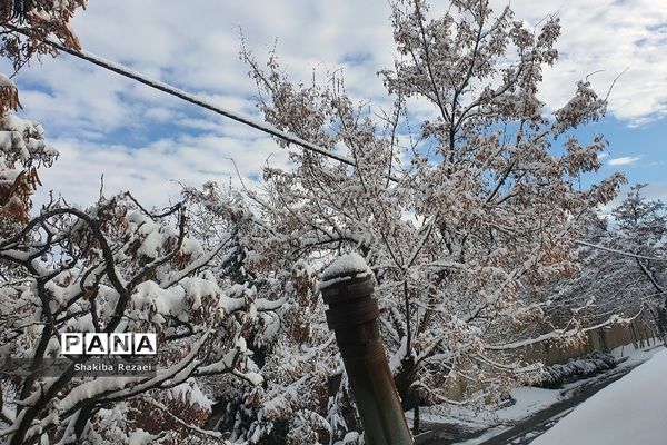 رخت سفید زمستان بر تن طبیعت دماوند