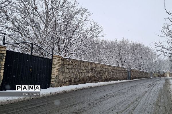 رخت سفید زمستان بر تن طبیعت دماوند