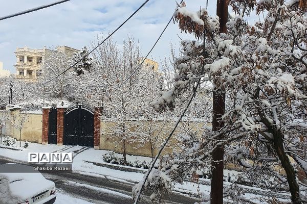 رخت سفید زمستان بر تن طبیعت دماوند