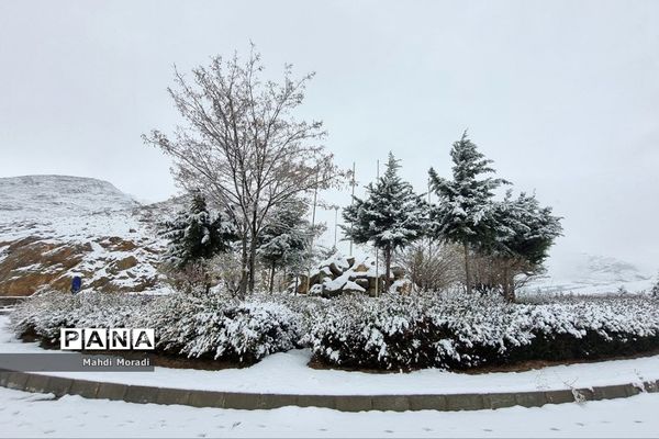 رخت سفید زمستان بر تن طبیعت دماوند