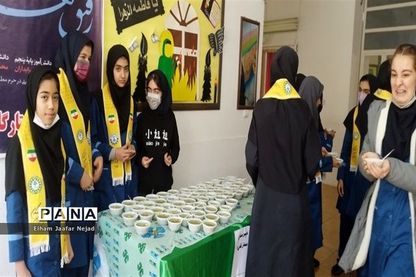 همایش دختران زهرایی ناحیه 4 شیراز