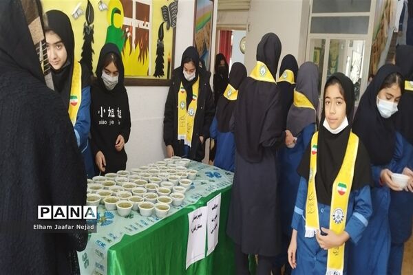 همایش دختران زهرایی ناحیه 4 شیراز