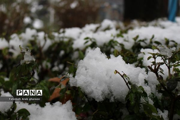 زمین در اردوگاه شهید باهنر لباس سپید به تن کرد