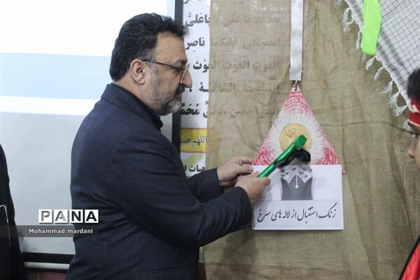 به صدا درآمدن زنگ استقبال از لاله‌های سرخ در ساری