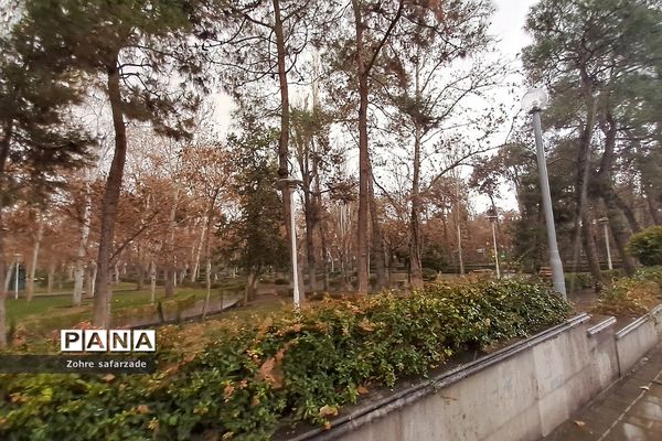 پارک لاله تهران در‌ یک روز بارانی