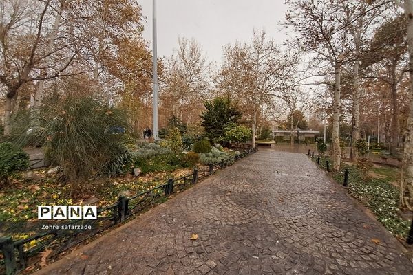 پارک لاله تهران در‌ یک روز بارانی