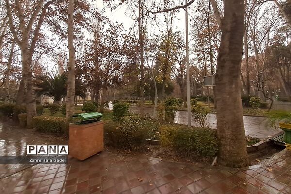 پارک لاله تهران در‌ یک روز بارانی