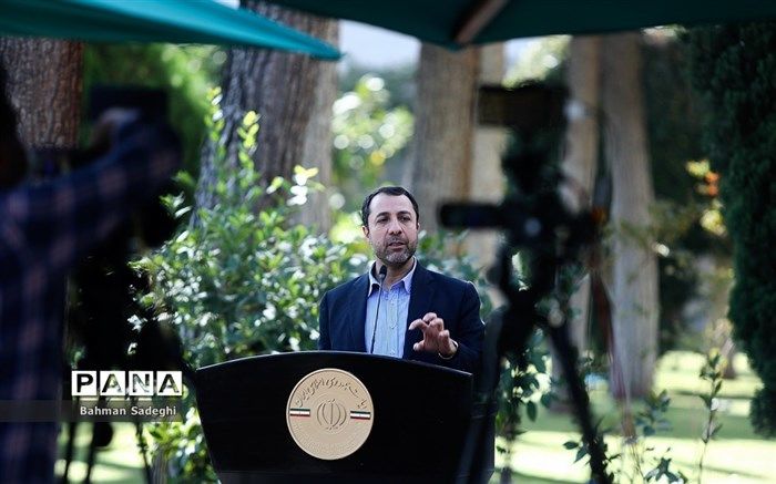 دولت هیچ انگیزه‌ای برای افزایش قیمت دلار ندارد