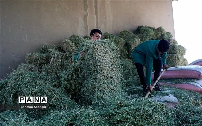 جای خالی استعدادهای دانش‌آ‌موزی در رشته‌های مرتبط با حوزه امنیت غذایی