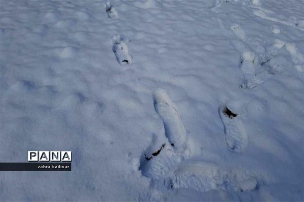 روز برفی در آباده