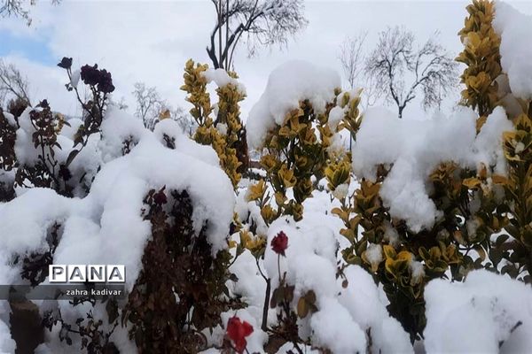 روز برفی در آباده