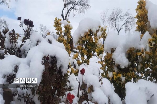روز برفی در آباده