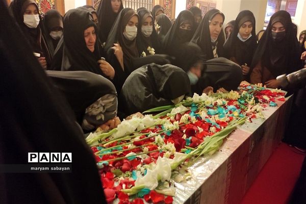 بسته بندی و توزیع ۳ هزار سیب در شبستان امام خمینی(ره) حرم شاهچراغ(ع)