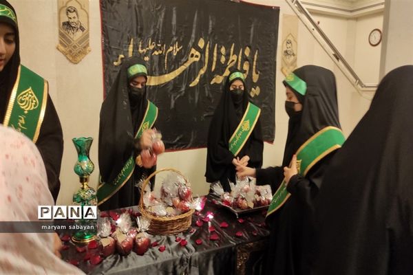 بسته بندی و توزیع ۳ هزار سیب در شبستان امام خمینی(ره) حرم شاهچراغ(ع)