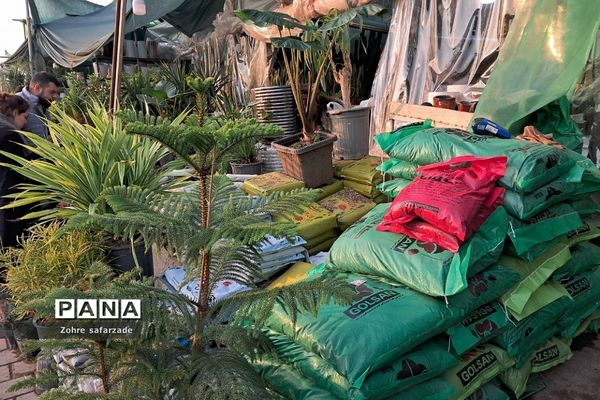 زیبایی‌های بازار گل محلاتی تهران