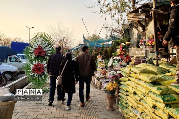 زیبایی‌های بازار گل محلاتی تهران