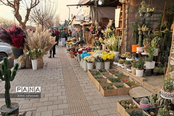 زیبایی‌های بازار گل محلاتی تهران