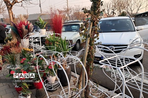 زیبایی‌های بازار گل محلاتی تهران