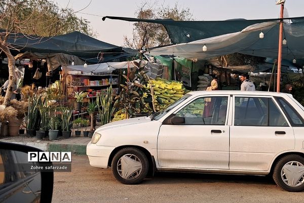 زیبایی‌های بازار گل محلاتی تهران