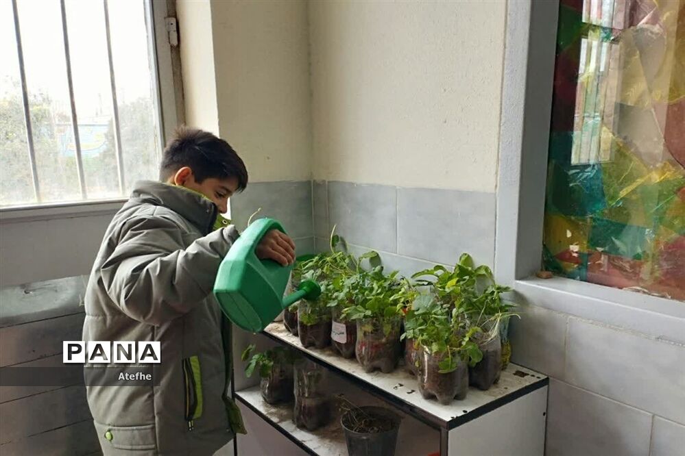 درسی برای زندگی