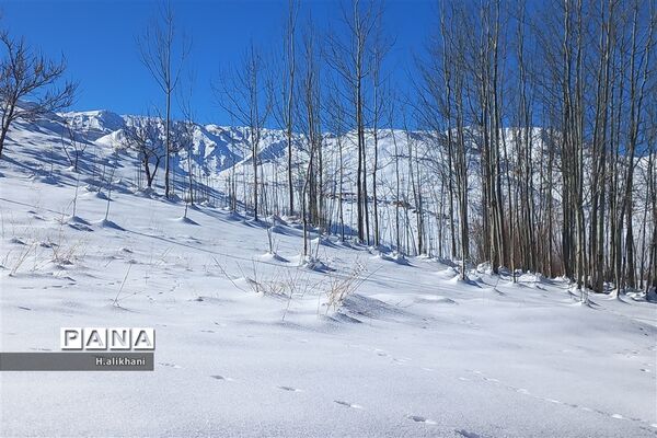 طبیعت برفی روستای دره بید شهرستان کوهرنگ