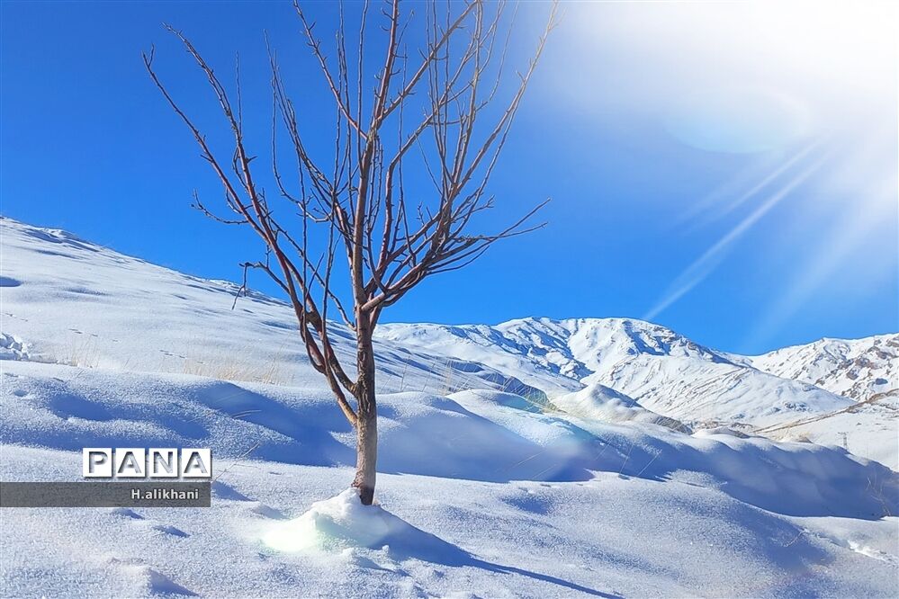 طبیعت برفی روستای دره بید شهرستان کوهرنگ