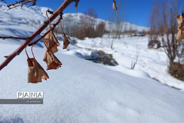 طبیعت برفی روستای دره بید شهرستان کوهرنگ