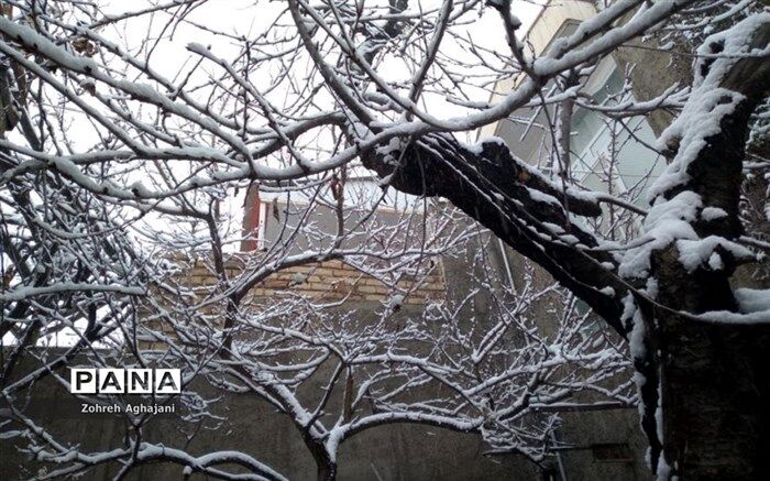 بارش برف و باران در محورهای مواصلاتی ۶ استان کشور
