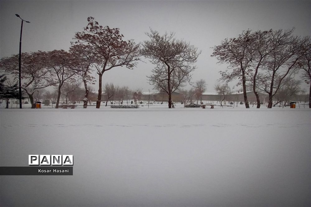 هشدار مدیریت بحران برای کاهش دمای شبانه در تهران