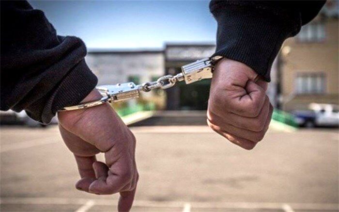 دستگیری ۱۳ نفر از عوامل ایجاد ناآرامی در بهشت‌زهرا(س)