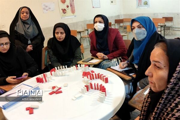 برگزاری دوره آموزشی بازی‌های فکری رویش ویژه مربیان ناحیه 3 شیراز