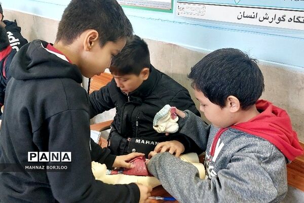 اردوی علمی پژوهشی دانش‌آموزان دبستان آیت‌الله سعیدی فشافویه