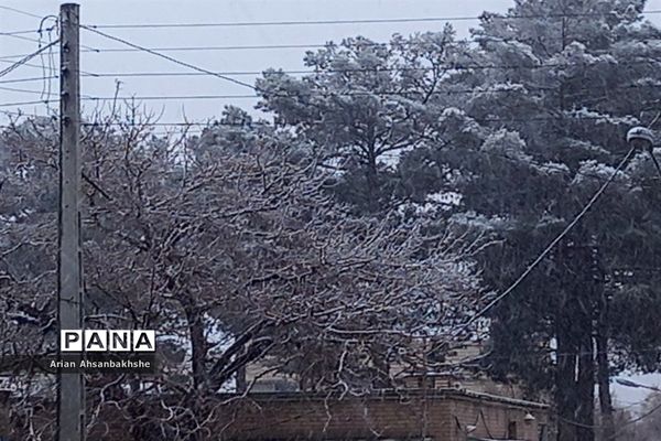 بارش برف بعد از سال‌ها  انتظار در کاشمر