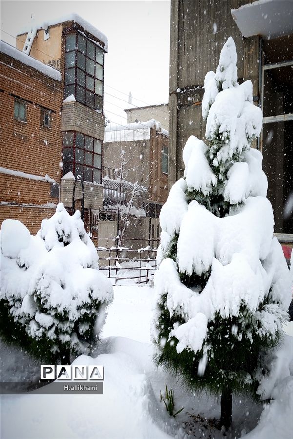 شهرستان فارسان،سفید پوش شد