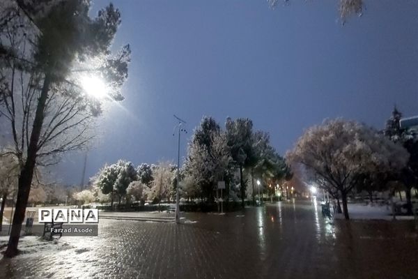 کاشمر هم رنگ برف را دید