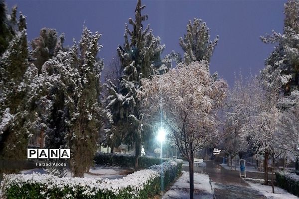 کاشمر هم رنگ برف را دید