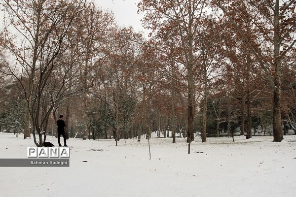 بارش برف زمستانی در تهران