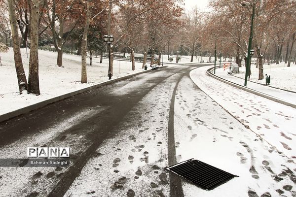 بارش برف زمستانی در تهران