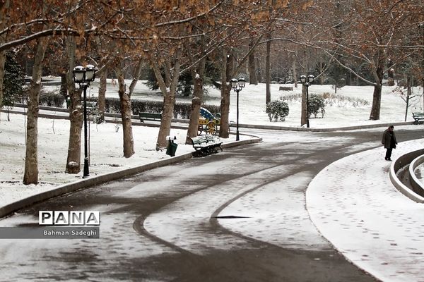 بارش برف زمستانی در تهران