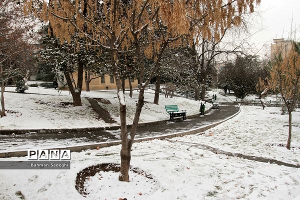 بارش برف زمستانی در تهران