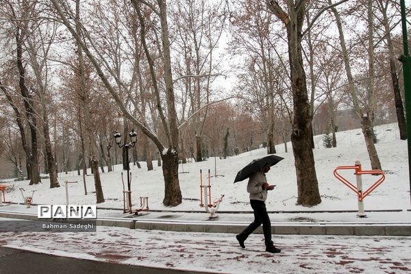 بارش برف زمستانی در تهران