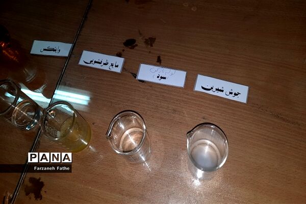 برگزاری تور علمی و کارگاه شیمی و فیزیک پژوهش سرای چهاردانگه
