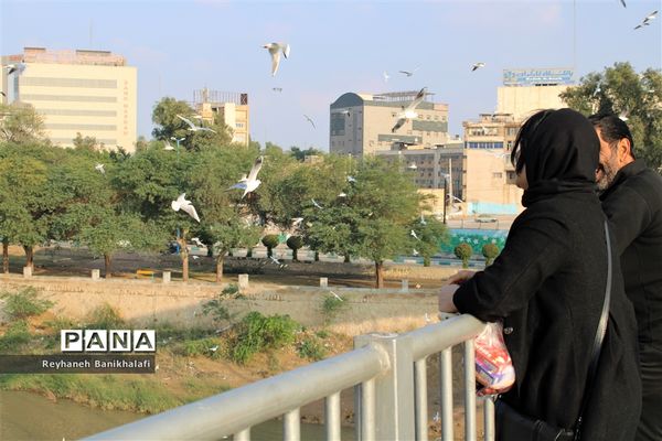 کارون؛ میزبان مهاجران مدیترانه‌ای