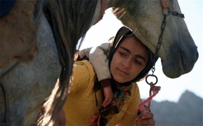 «رویای یک اسب» در جشنواره بیگ اسکای