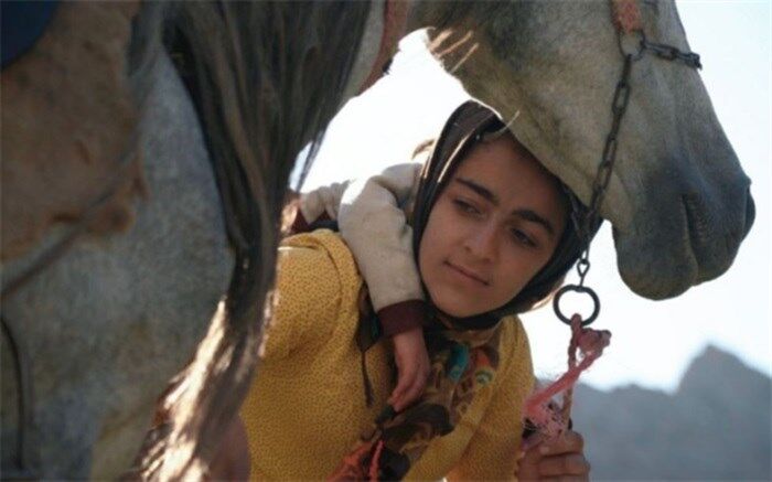 «رویای یک اسب» در جشنواره بیگ اسکای